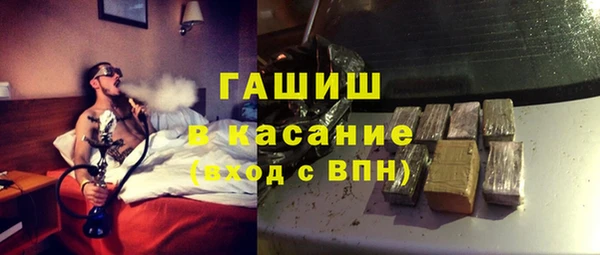 хмурый Осинники