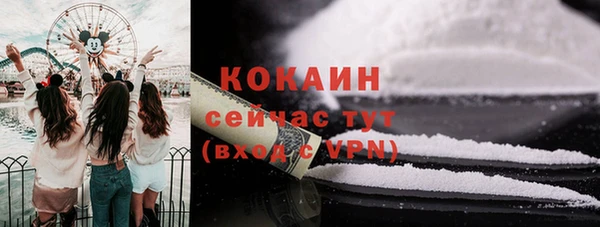хмурый Осинники