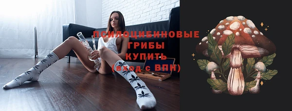 кокс Осташков