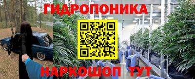 бошки Волгодонск