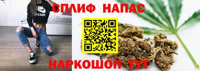 дживик Гагарин