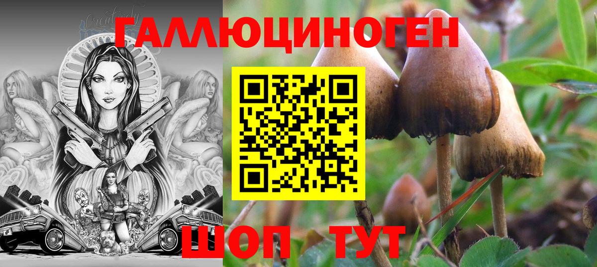 Галлюциногенные грибы ЛСД  Вход с VPN  Зеленодольск 