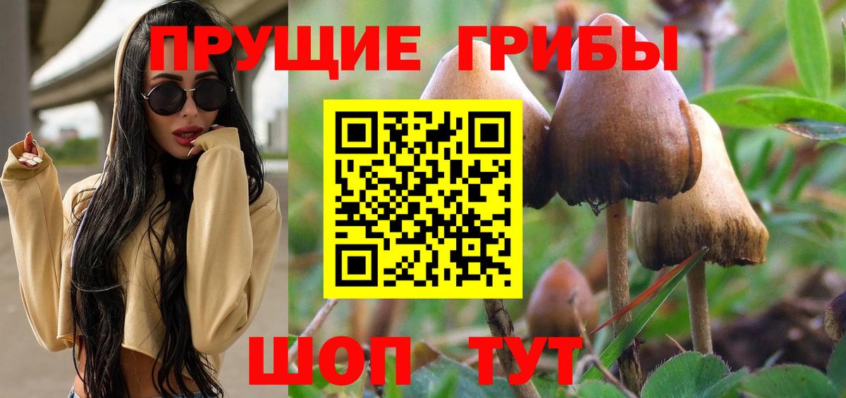 Галлюциногенные грибы ЛСД  Зеленодольск  закладки  Галлюциногенные грибы GOLDEN TEACHER 