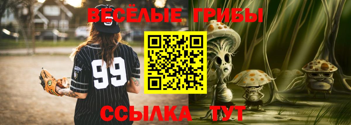 Псилоцибиновые грибы ЛСД Зеленодольск